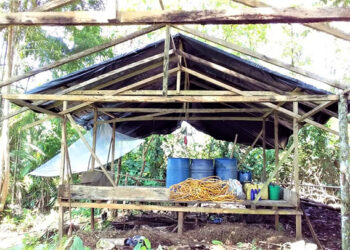 Destruyen en Istmina un laboratorio de coca y tres campamentos del ELN