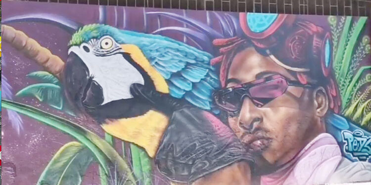 Treinta coloridos murales en la zona central de Quibdó