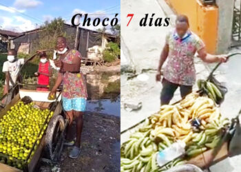 Quibdó: vendedor de plátano suplica que le compren para darle una Navidad a sus hijos