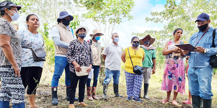 Luego de 24 años una familia regresó a sus predios en Belén de Bajirá