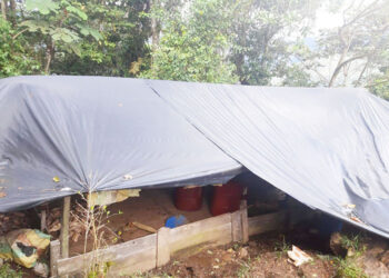 Laboratorio de coca en San José del Palmar