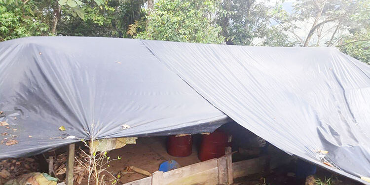 Laboratorio de coca en San José del Palmar