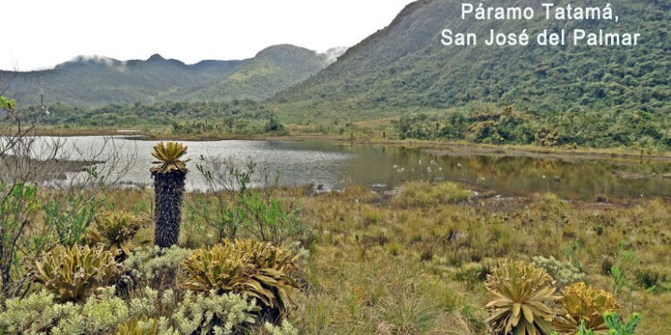 Reabre sus puertas el Parque Nacional Natural Tatamá