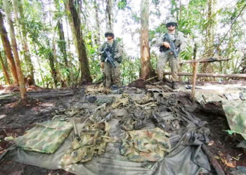 Destruyen campamento del Clan del Golfo en Bajo Baudó