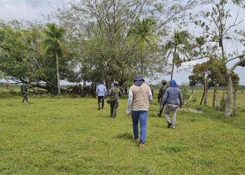 Campesino recuperó finca en Bajirá que los paramilitares le habían quitado