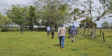 Campesino recuperó finca en Bajirá que los paramilitares le habían quitado