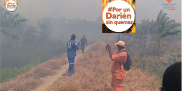 Por un Darién Sin Quemas
