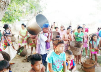 Alerta sobre atropellos de grupos armados ilegales a indígenas en el Chocó