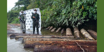Incautan madera sin salvoconducto en Litoral de San Juan