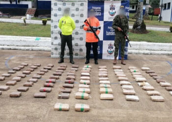 En Cabo Marzo incautan 101 kilos de marihuana