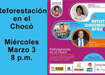 Reforestación en el Chocó