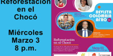 Reforestación en el Chocó
