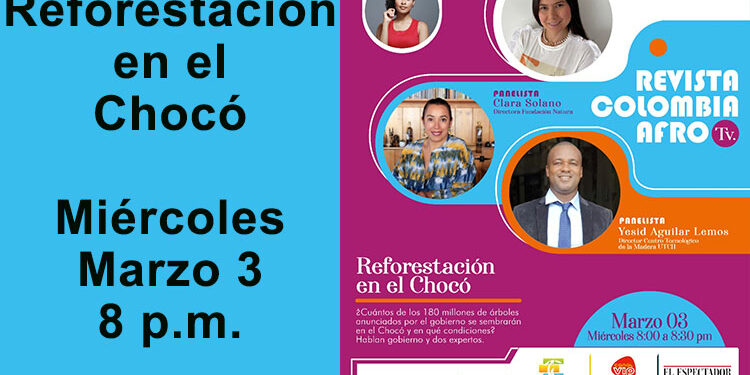 Reforestación en el Chocó