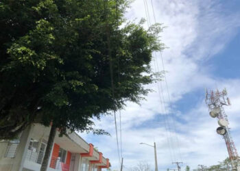 Aguas del Atrato: Suspensión del servicio de acueducto por poda de árboles