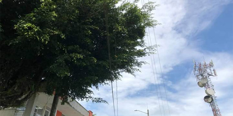 Aguas del Atrato: Suspensión del servicio de acueducto por poda de árboles