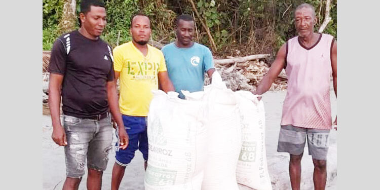 Alcaldía de Bajo Baudó entrega ocho toneladas de semillas de arroz