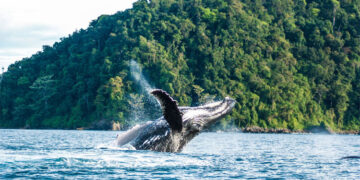 Chocó le apunta al turismo de naturaleza