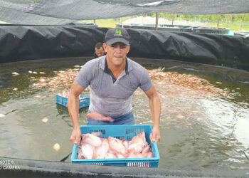 Avanzan los proyectos productivos de reincorporados en el Chocó