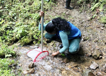 Codechocó donó ejemplares de macroinvertebrados a la UTCH