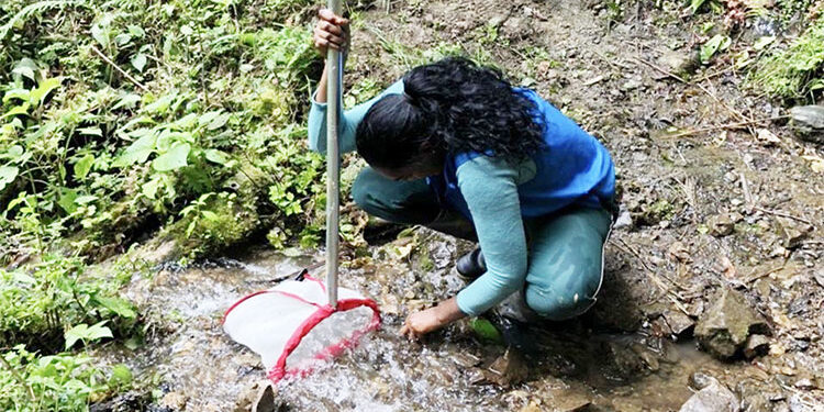 Codechocó donó ejemplares de macroinvertebrados a la UTCH