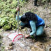 Codechocó donó ejemplares de macroinvertebrados a la UTCH