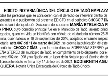 Edicto María Etelvicia Palacios Pino