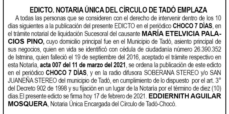Edicto María Etelvicia Palacios Pino