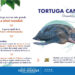 Codechocó invita a preservar la vida de la tortuga Caná
