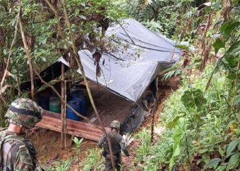 Destruyen cinco laboratorios de coca en San José del Palmar