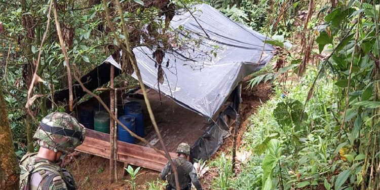 Destruyen cinco laboratorios de coca en San José del Palmar