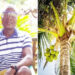 En Chocó el coco se convierte en una alternativa a la producción minera