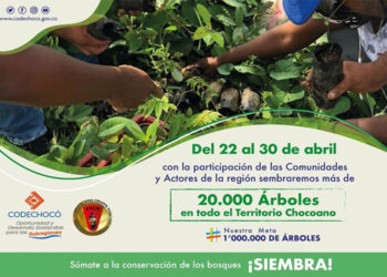 Codechocó sembrará 20.000 árboles en el marco del Día de la Tierra