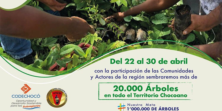 Codechocó sembrará 20.000 árboles en el marco del Día de la Tierra