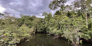 Medio Atrato y Río Quito entre el abandono y la extracción ilegal de sus recursos naturales