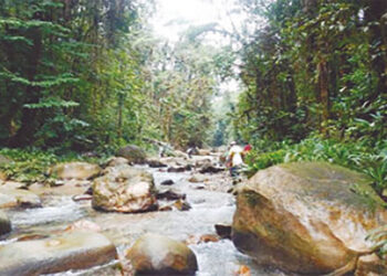 Gobierno nacional reitera impulso a minería de cobre en el Chocó