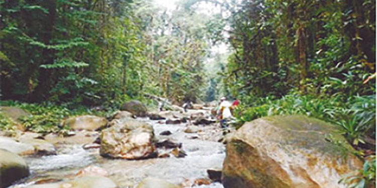 Gobierno nacional reitera impulso a minería de cobre en el Chocó