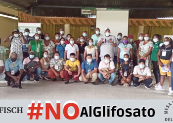 Rechazan aspersión aérea con glifosato en el Chocó