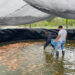Excombatientes venden primer lote de pescado
