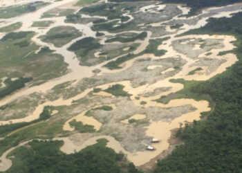 Inician restauración de 641 nuevas hectáreas degradadas por la minería