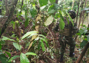 Ejército ubicó en Tadó caleta con explosivos del ELN