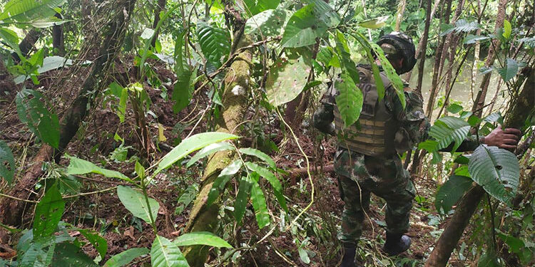 Ejército ubicó en Tadó caleta con explosivos del ELN