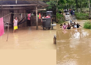 Unguía: pérdidas por inundaciones en Tanela