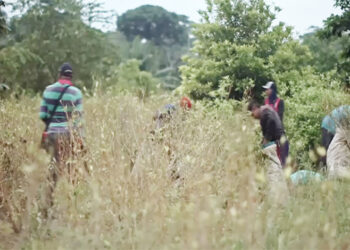Documental: coca y abandono en el río Salaquí