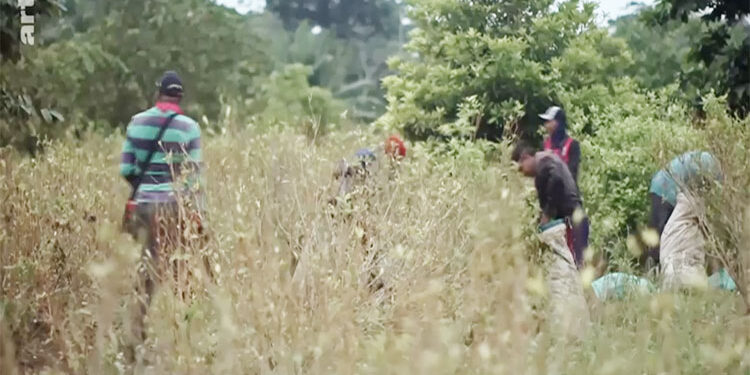 Documental: coca y abandono en el río Salaquí