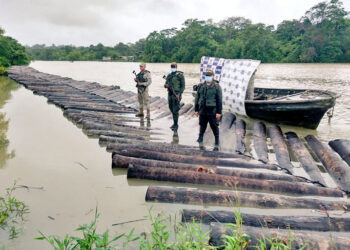 Incautan cargamento de madera sin salvoconducto