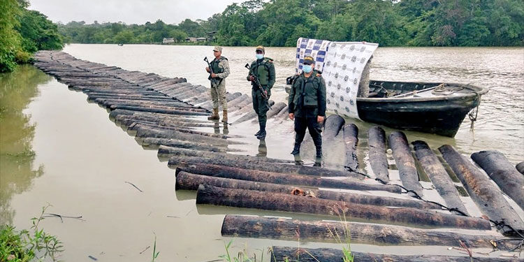 Incautan cargamento de madera sin salvoconducto