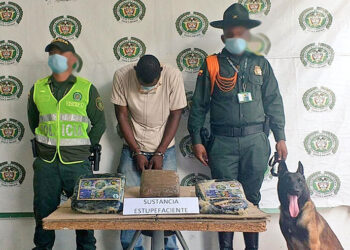 Encomienda de pescado con marihuana