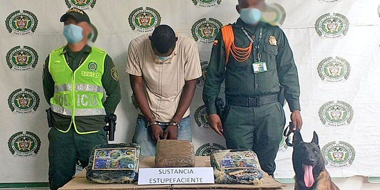 Encomienda de pescado con marihuana