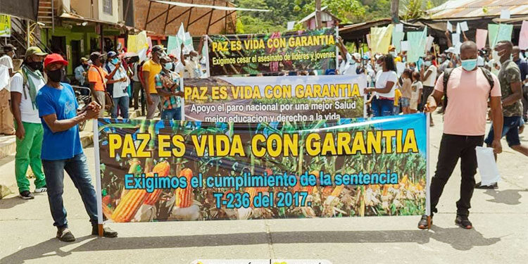 Nóvita: consulta previa antes de aspersiones aéreas con glifosato
