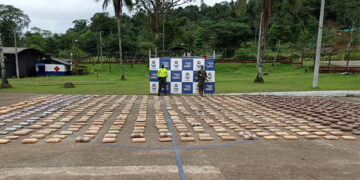 Nuquí: localizaron 778 kilos de marihuana en Panguí